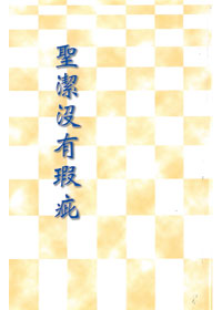 聖潔沒有瑕疵 封面