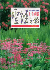 聖經之旅-第六冊/約伯記至瑪拉基 封面