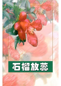 石榴放蕊 封面