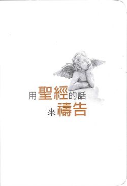 用聖經的話來禱告 封面