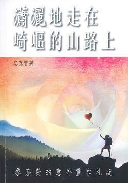 瀟灑地走在崎嶇的山路上 封面