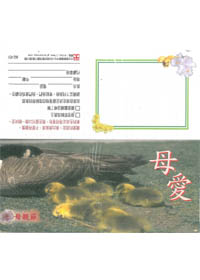 母愛-福音張單 封面