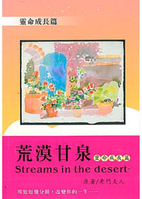 荒漠甘泉-靈命成長篇 封面