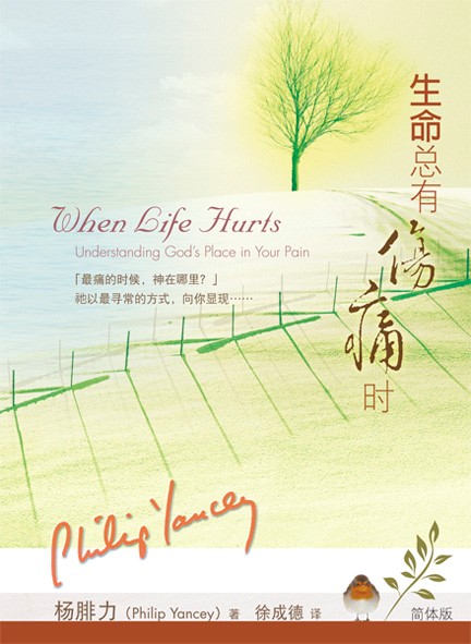 (簡體中文)生命總有傷痛時 封面