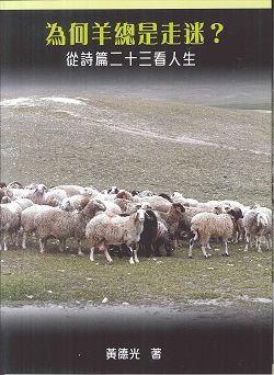 為何羊總是走迷?：從詩篇二十三看人生 封面