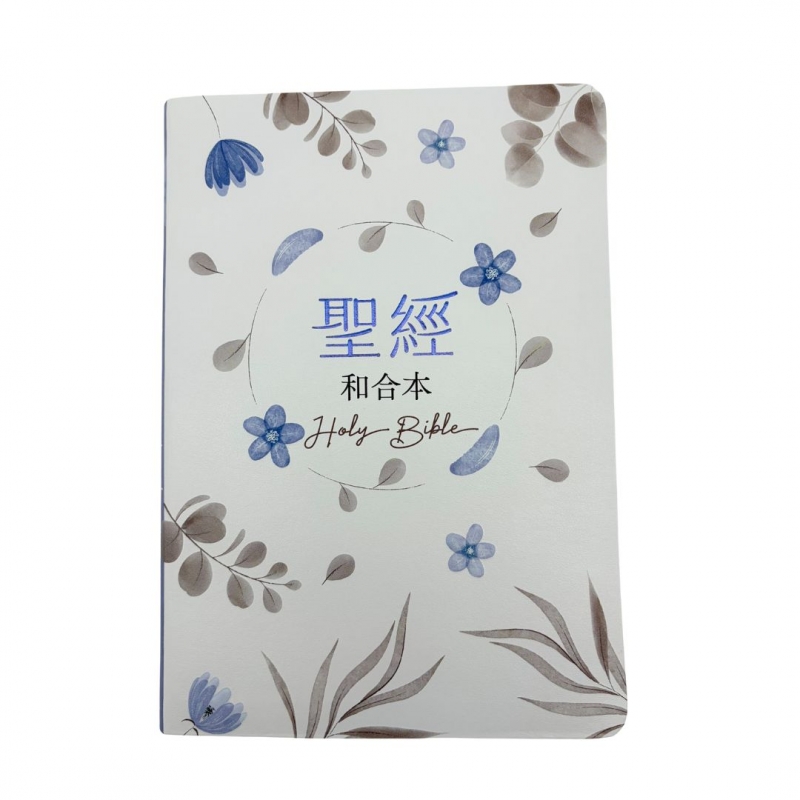 聖經/SR77ATTI4.603/(粉藍)橫排彩繪皮面索引紅字雙色版 封面