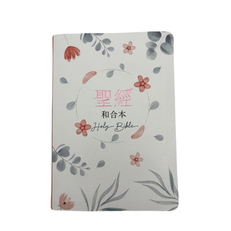聖經/SR77ATTI4.602/(粉橘)橫排彩繪皮面索引紅字雙色版 封面