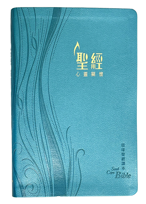 聖經/L51TS03J2/環球聖經譯本-心靈關懷聖經-藍色儷皮燙金金邊 封面