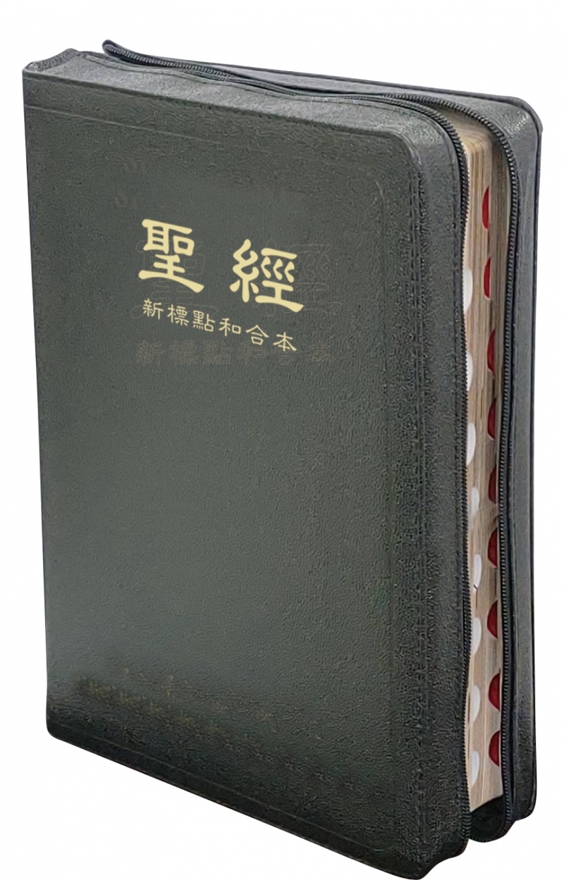 聖經/CUNPCS87AZTIFIB/新標點和合本橫排大字版--神版皮面金邊索引 封面