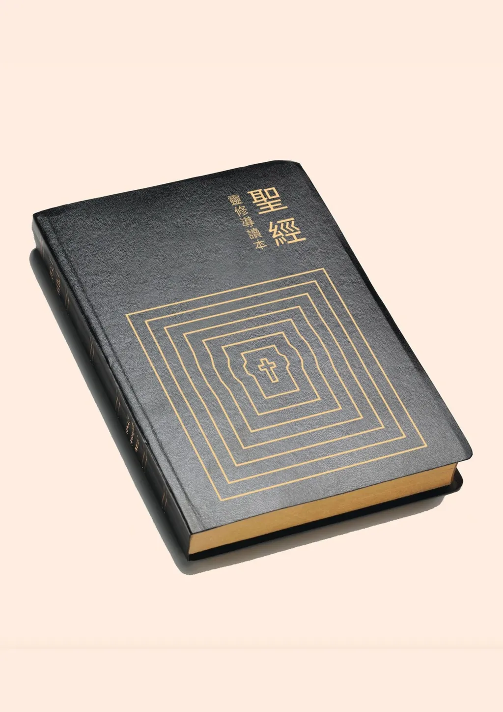 聖經/和合本/靈修導讀本(皮面金邊) 封面