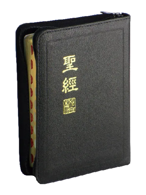 聖經/CUNP57ZTI/新標點和合本-上帝版(真皮拉鍊索引金邊) 封面