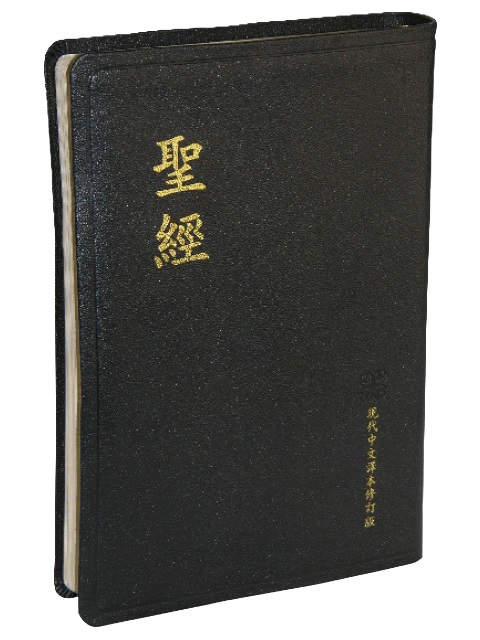 聖經/TCV077PG/現代中文譯本大字皮面金邊 封面