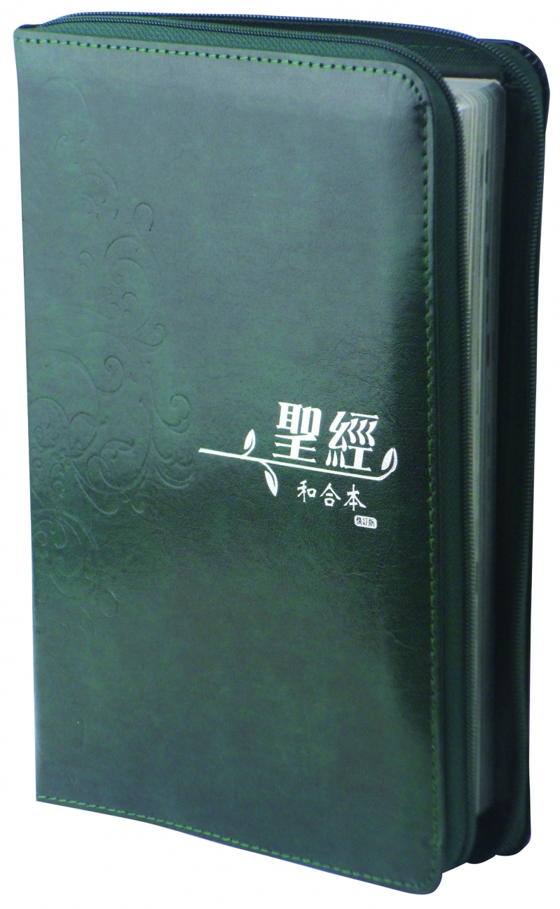聖經/RCUH66XZGN/和修橫排中型上帝拉皮(綠) 封面