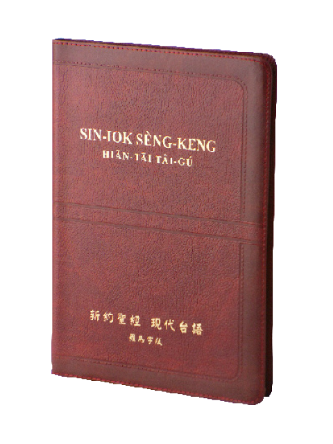 台語聖經/TTVR267/現代台語譯本羅馬字-新約全書(皮面金邊) 封面