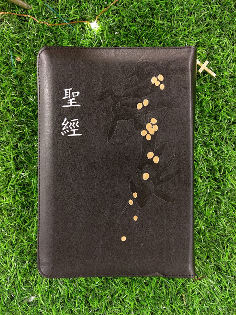 聖經/SR66ARTIZ1.1/新標點和合本儷皮拉鍊索引(黑金) 封面