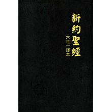新約聖經(六合一譯本)-書況不佳 封面