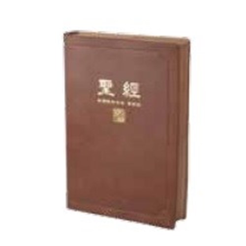 聖經/CUNPCS072ABR/新標點橫排軟皮串珠神 封面