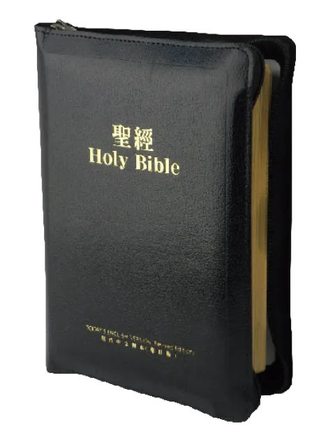 中英聖經/TEV/TCV54DIZ/現代英文/現代中文-上主版(黑色皮面金邊) 封面
