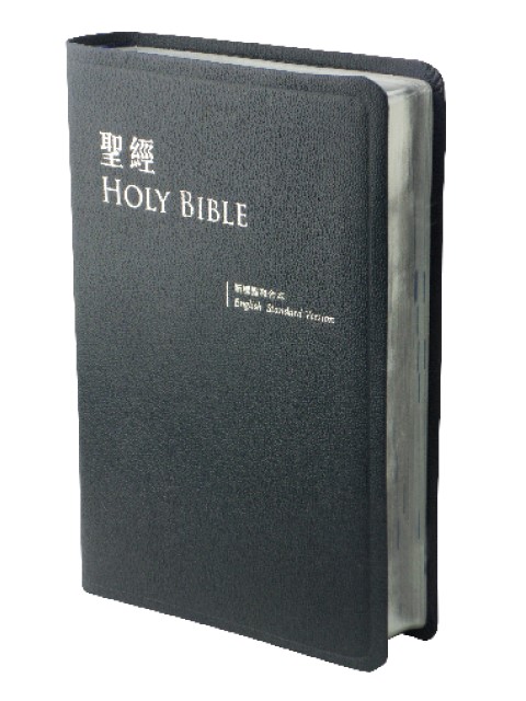 中英聖經(新標點和合上帝版/ESV.大型.皮面.銀邊.藍) 封面