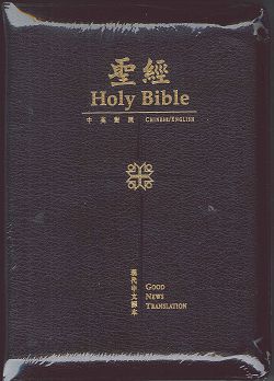 聖經/TCV_TEV54XZ/現代中英對照超薄金邊拉鍊仿皮(絕版) 封面