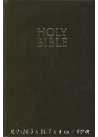 HOLY BIBLE(NIV)棕-LARGE PRINT 封面