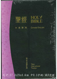 中英對照聖經RCU/NIV76ATI/和修神版索引皮面(絕版) 封面
