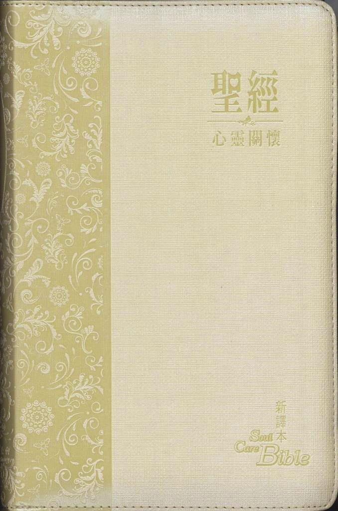 聖經/S27TS10J3/新譯本心靈關懷(淺棕)拉鍊 封面