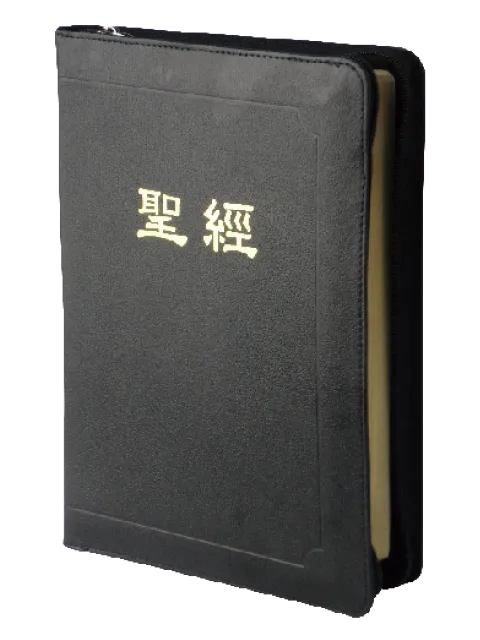 聖經/CUNPCS077Z/新標點橫排串珠(上帝版) 封面