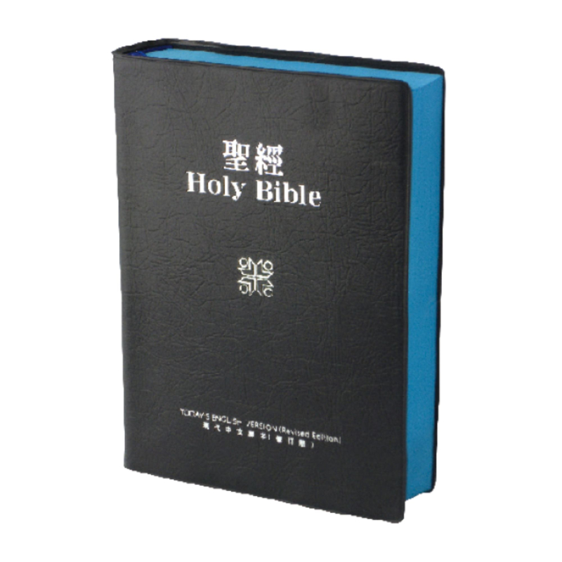 現代中英對照中型膠皮TEV/TCV52DIBU 封面