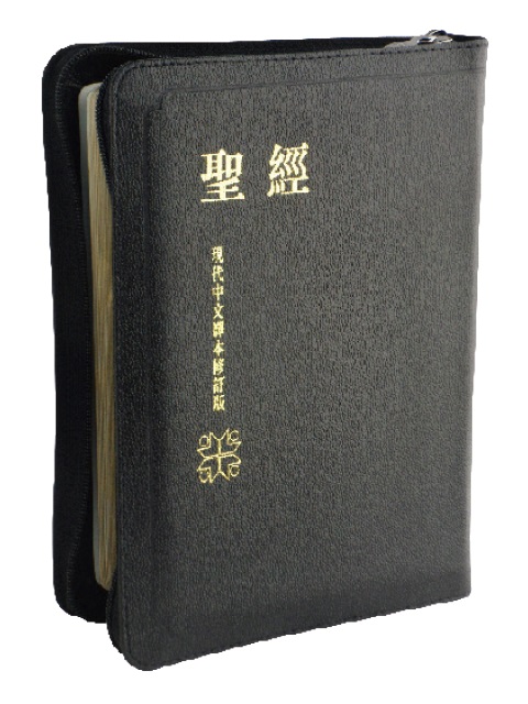 聖經/TCV067PZ/現代中文譯本中型皮拉練 封面