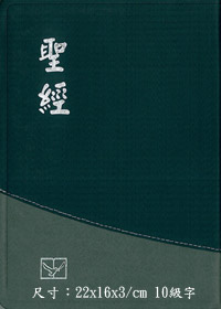 聖經/CUNP66A/新標點神版麗皮 封面