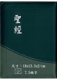 聖經/CUNP56AZTI/新標點拇指拉鍊 封面