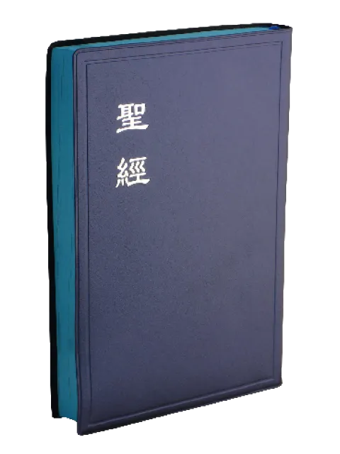 聖經/CU84APLNBU/和合本大字聖經-神版(髮絲紋藍色膠面藍邊) 封面