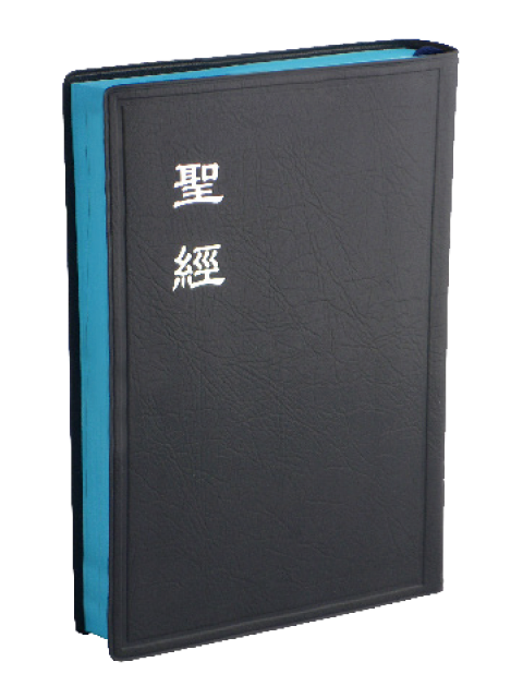 聖經/CU62ABU/和合本膠皮神版(藍) 封面