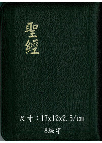 聖經和合本神版超薄拉鍊CU57AXZS 封面