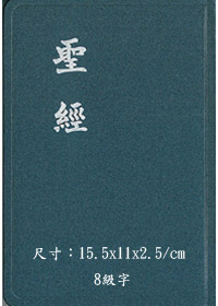 聖經/CU53AX/和合本超薄仿藍皮 封面