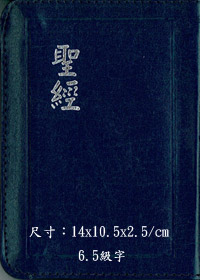 聖經/CU37AZTI/神版/拉鍊/姆指索引 封面