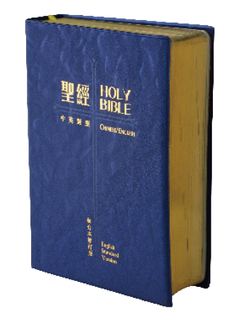 中英聖經-和合修訂上帝版/ESV對照(金邊典雅款)-RCU/ESV53PL 封面