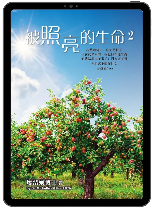 被照亮的生命2 封面