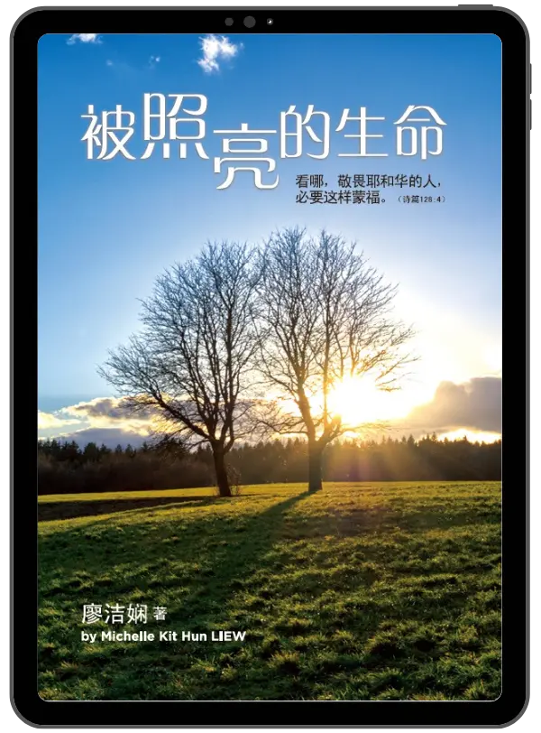 被照亮的生命 封面