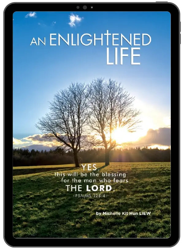 An Eightened Life (e-book) 封面