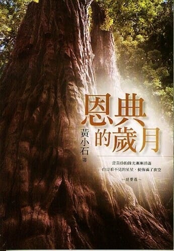 恩典的歲月 封面