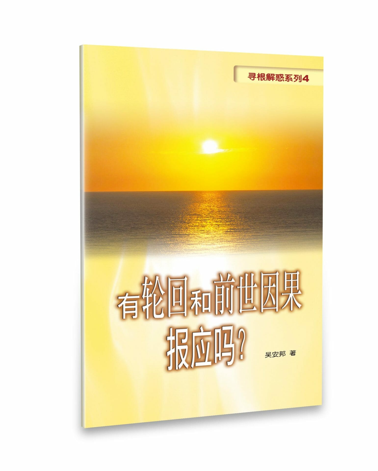 有輪迴和前世因果報應嗎？（簡體版） 封面