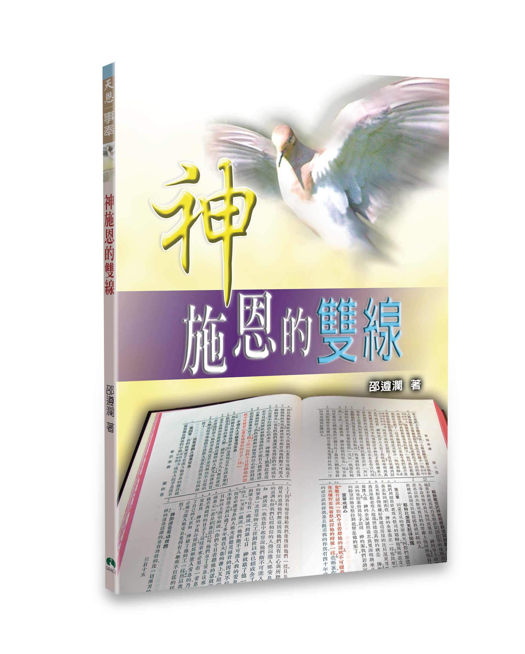 神施恩的雙線 封面