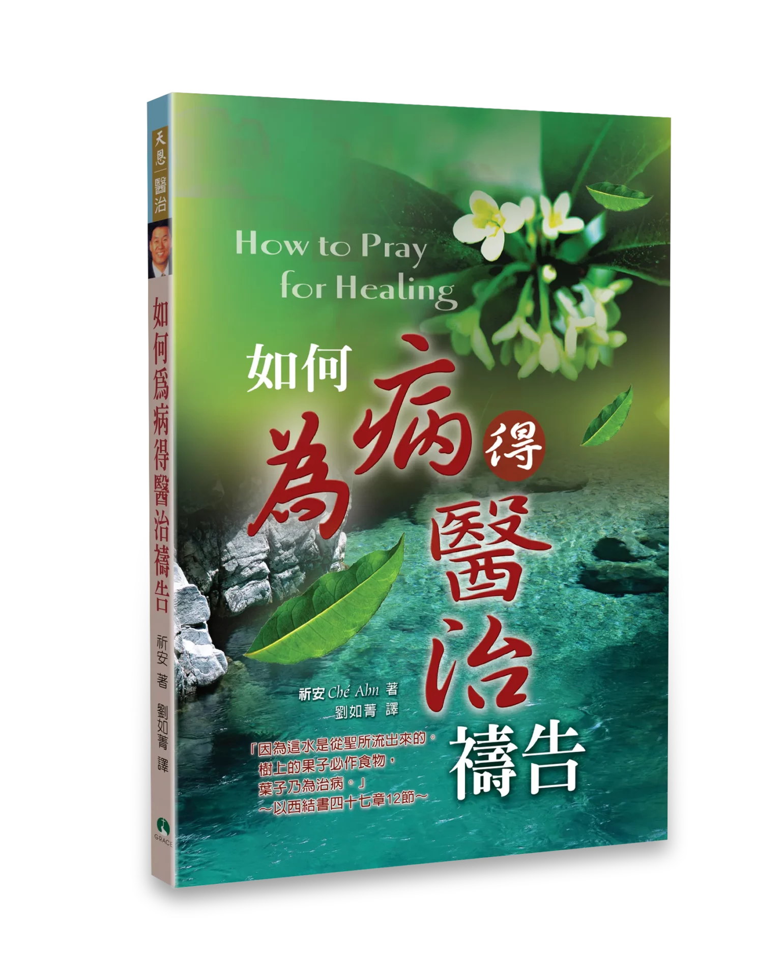 如何為病得醫治禱告 封面