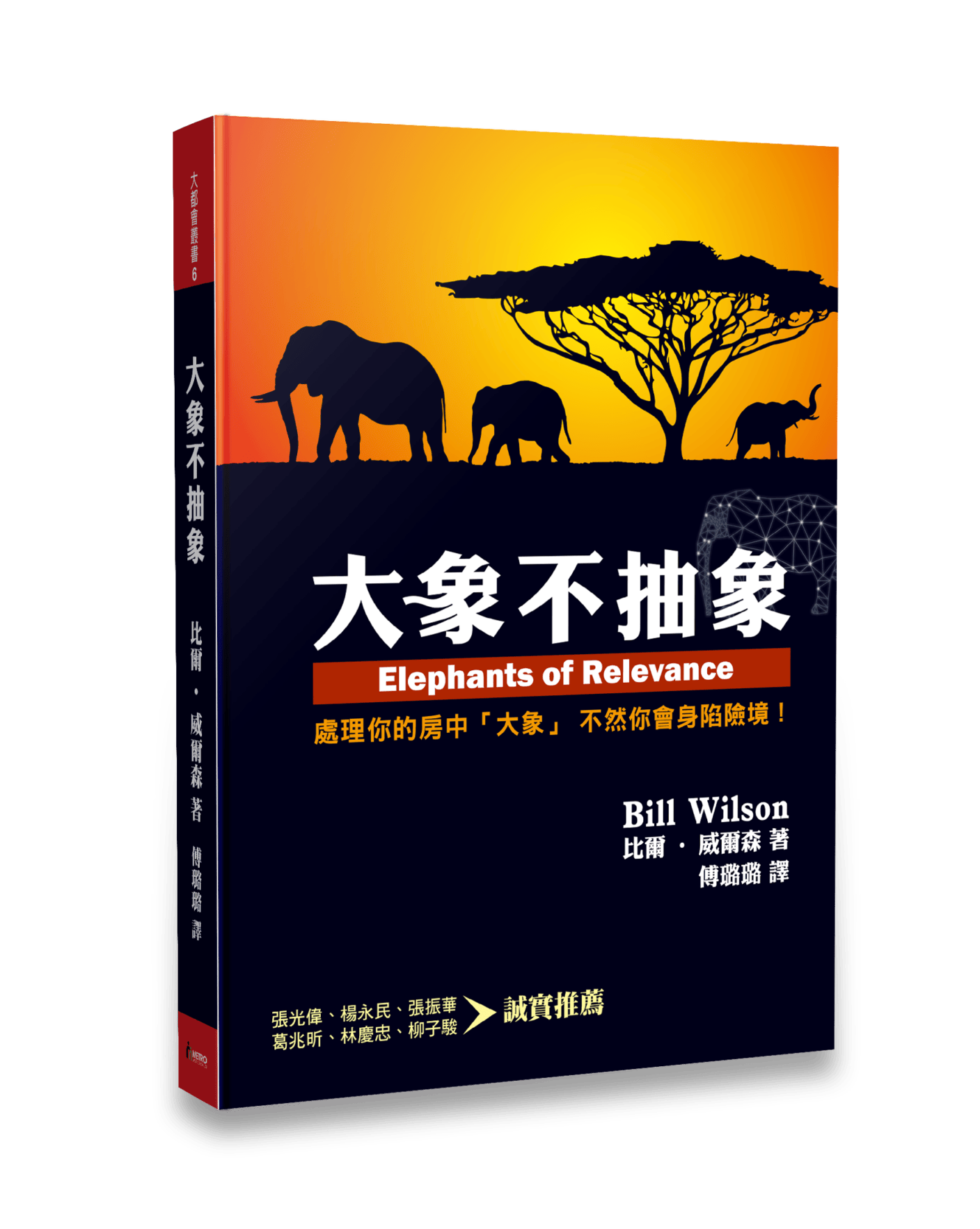 大象不抽象 封面
