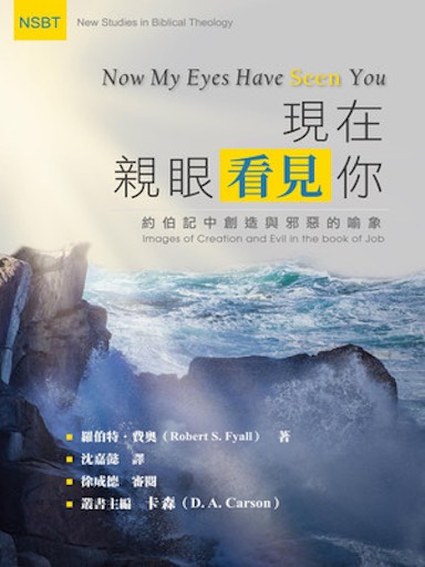 現在親眼看見你：約伯記中創造與邪惡的喻象 封面