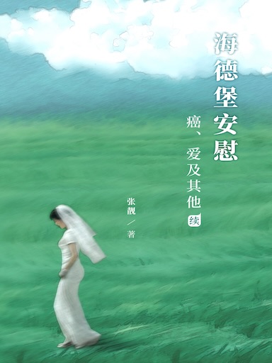 海德堡安慰：癌、愛及其他　續 封面
