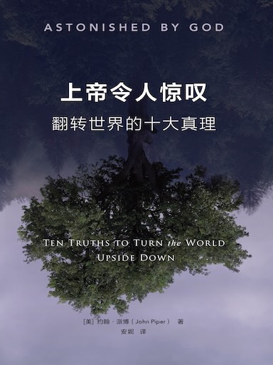 上帝令人驚歎：翻轉世界的十大真理 封面
