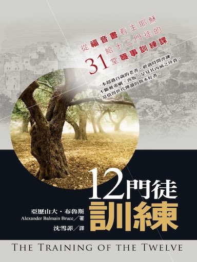 12門徒訓練：從福音書看主耶穌給十二門徒的31堂職事訓練課 封面